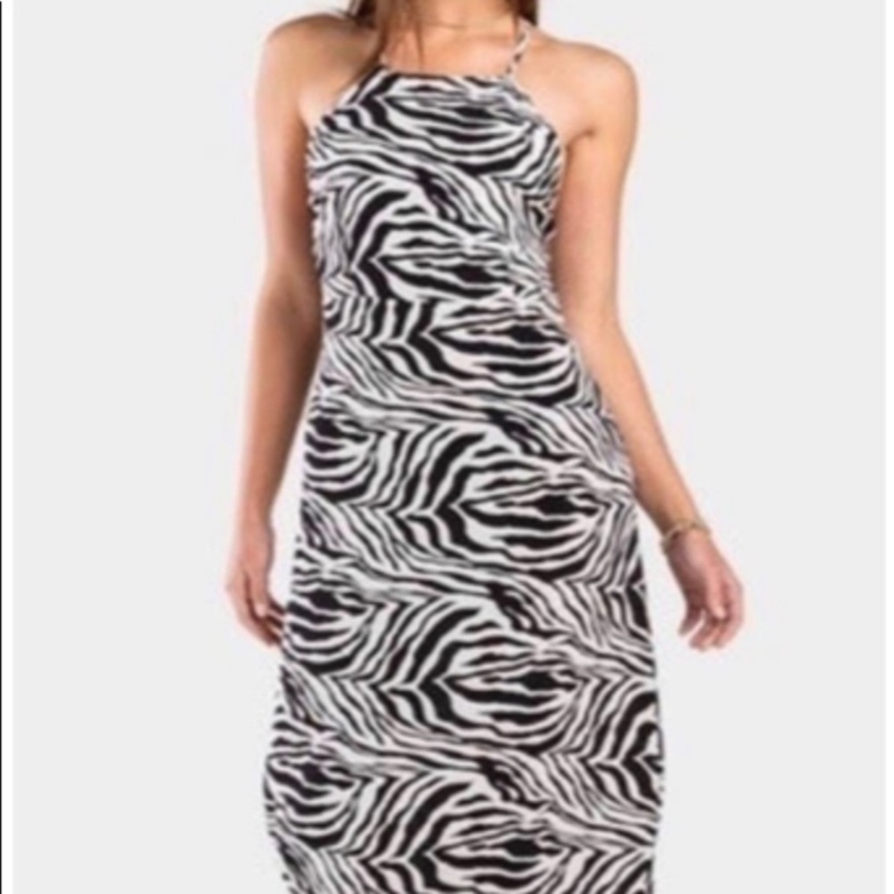 NWT Francesca’s Blu Pepper zebra dress small
